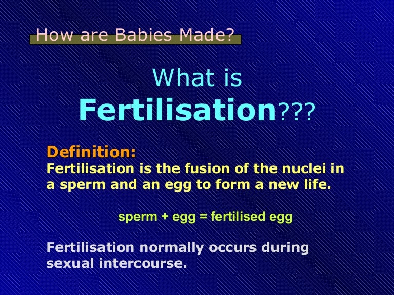What Is Fertilisation Brainly In