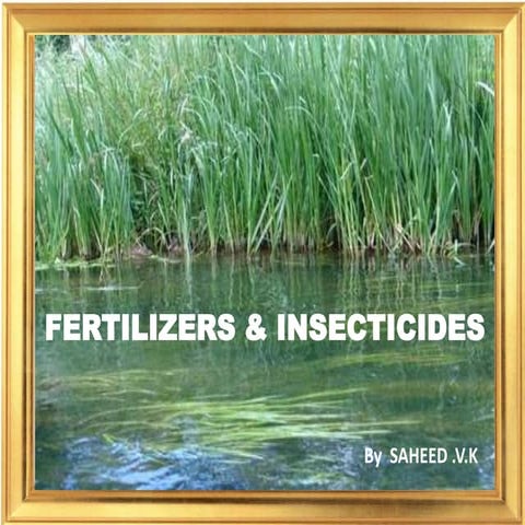 Fertilizer ppt By Saheed vk