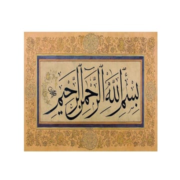 Fertilizer Project for BNI Biological Nitrifcation Inhibition.ppt