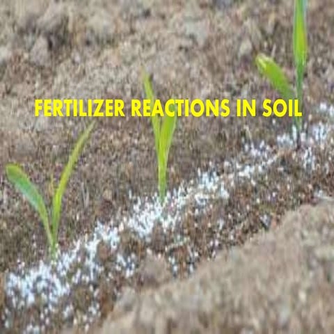 Fertilizer reaction in soil (1)