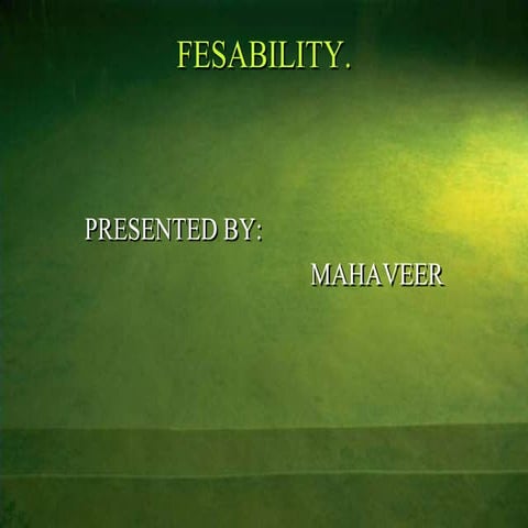 Feasibility study 