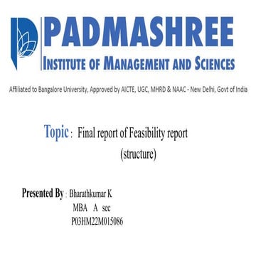 feseability report in economic management.pptx