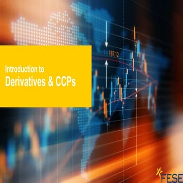 FESE Capital Markets Academy - An introduction to derivatives &CCPs
