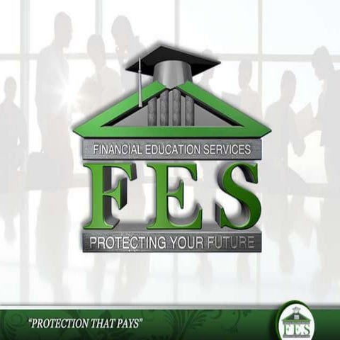 FES Business Overview