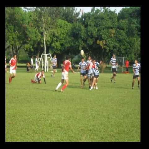 Festival Seven:  Rugby Para Todos