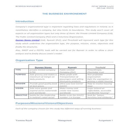Business environment |  case study: Company Type in Ireland - Yasmina Rayeh