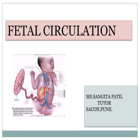 fetal-circulation-.pptx