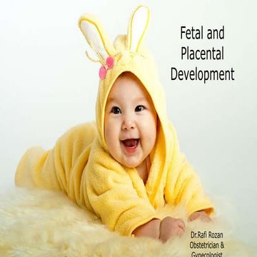 Fetal and Placental Development (Dr.Rafi Rozan)