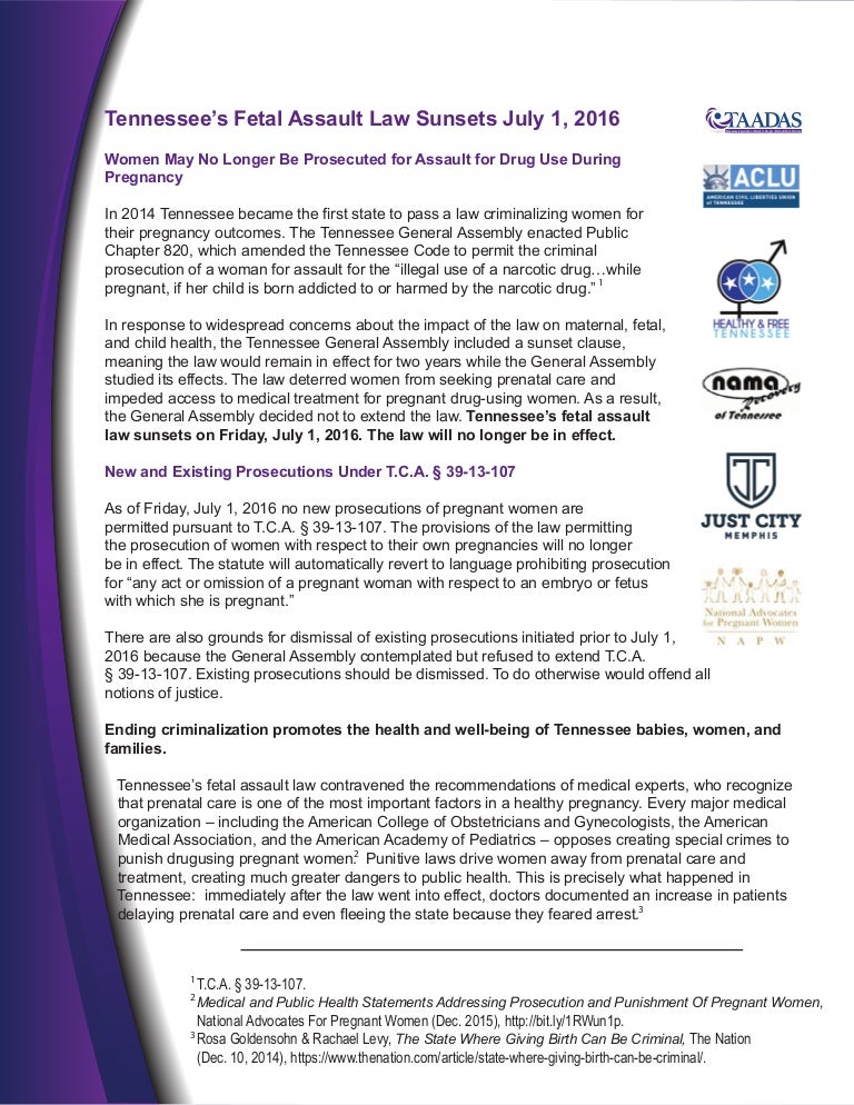 The "Fetal Assault Law" is Done Resources for Lawyers