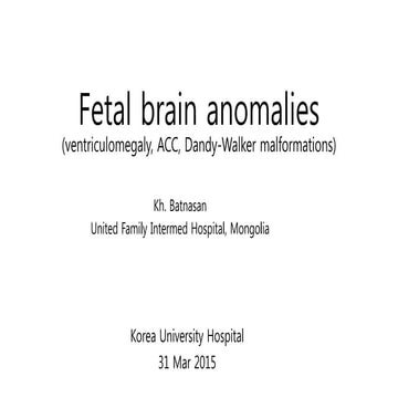 Fetal brain anomalies