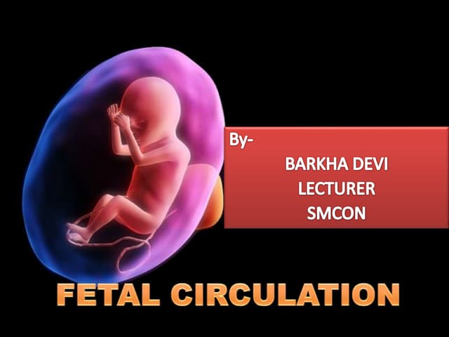 Anatomy and physiology of Fetal circulation | PPTX