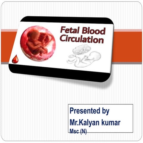 FETAL CIRCULATION