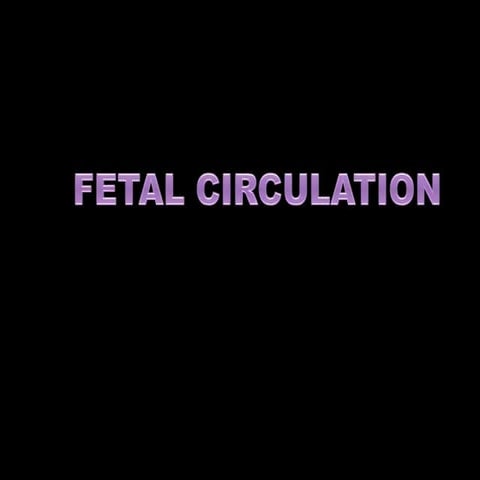 Fetal circulation.pptx