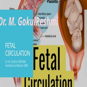 RCH -reproductive and child health. | PPTX