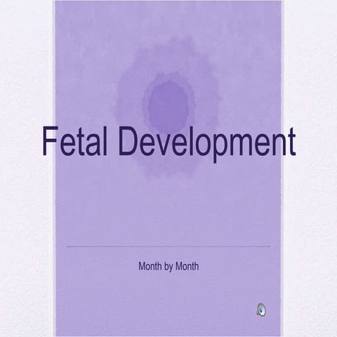 Fetal Development