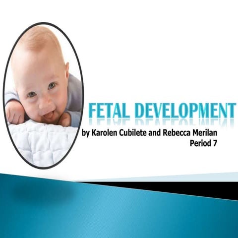 Fetal development