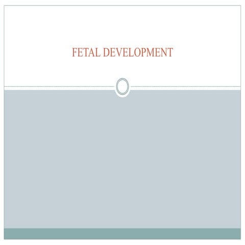Fetal development