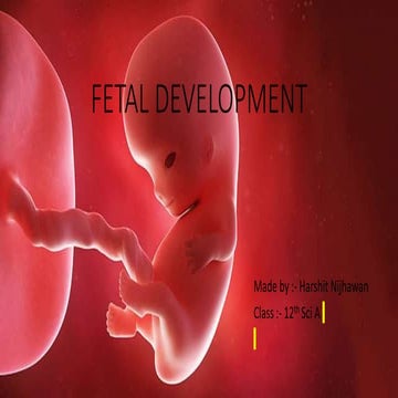 ppt on FETAL DEVELOPMENT class 12 in depth.pptx