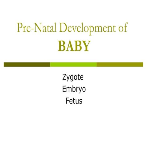 Fetal_Development_0 embryology Anatomy.ppt