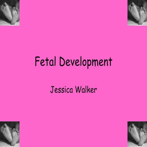 Fetal development powerpoint