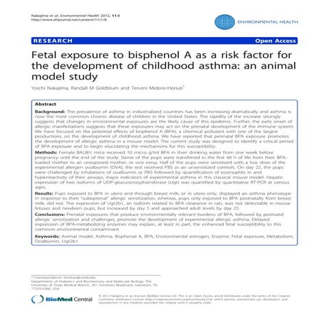 Fetal exposure to bisphenol a as risk factor for the childhood asthma