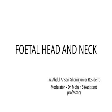 fetal head and neck imaging and spotters
