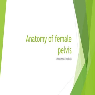 Fetal head diameters