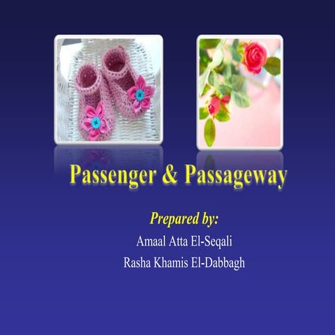 Fetal  head, maternal pelvis & pelvimetry