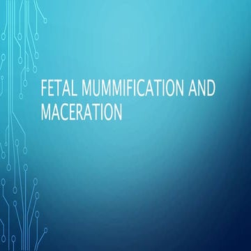 Fetal mummification and Maceration