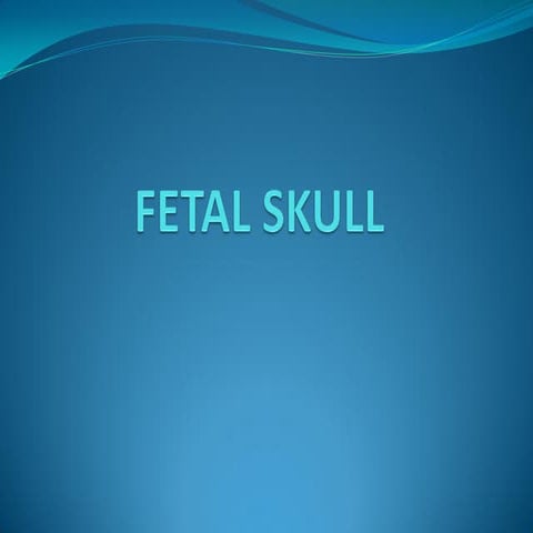Fetal skull