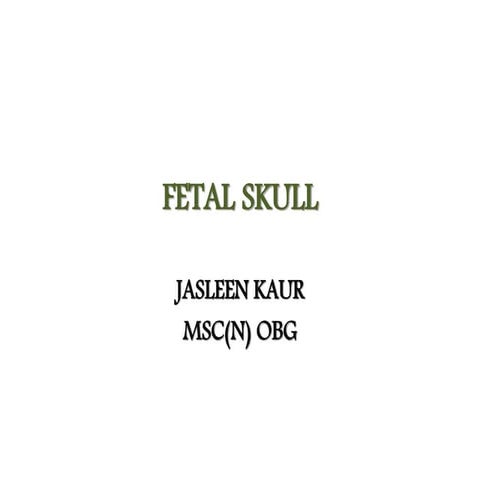 Fetal skull