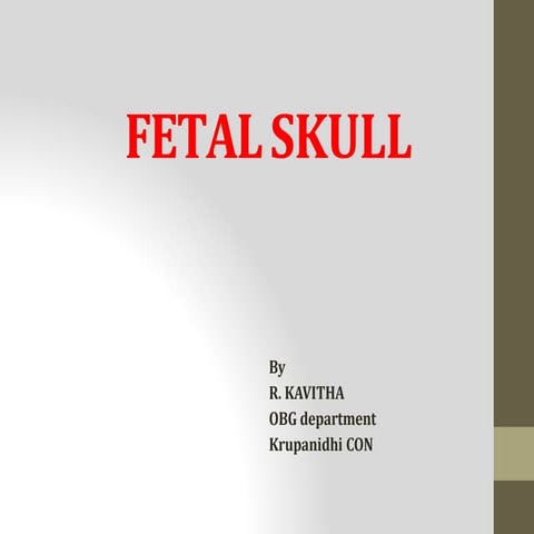 Fetal skull