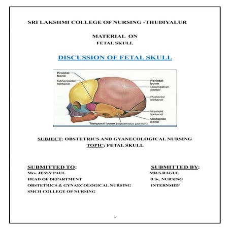 Anatomy of the foetal skull | PPTX