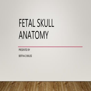 FETAL SKULL ANATOMY.pptx