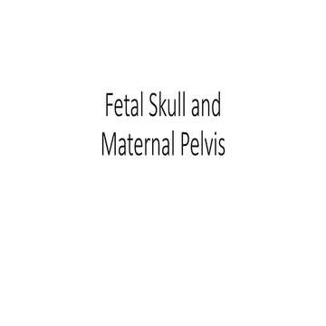 Fetal skull and maternal pelvis