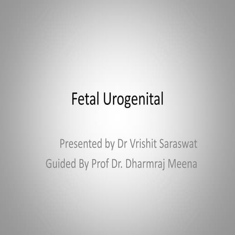 Fetal urogenital usg