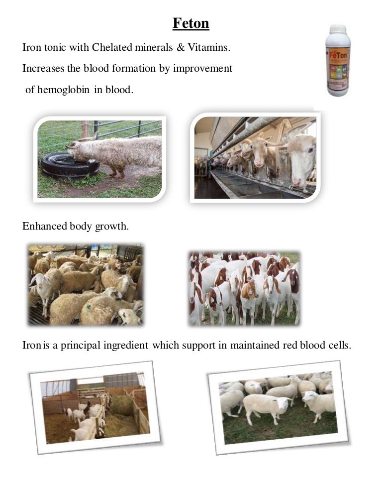 Feed additives for sheep and goat