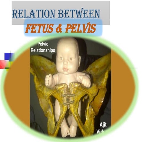 feto pelvic relationship includes lie, presentation, position, attitude,denom...