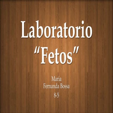Fetos