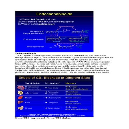 Fettsäuren und Gesundheit Text