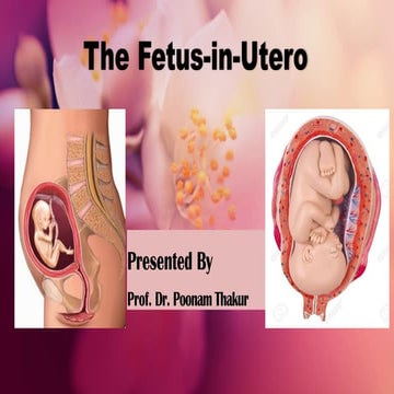 fetus in uterus, postion , presentation of fetus in mother's womb