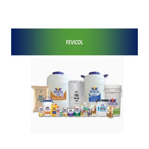 Fevicol Branding