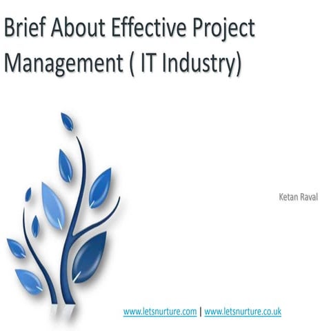Few Project Management Tips