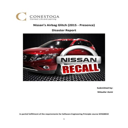 Nilou_Disaster_Report