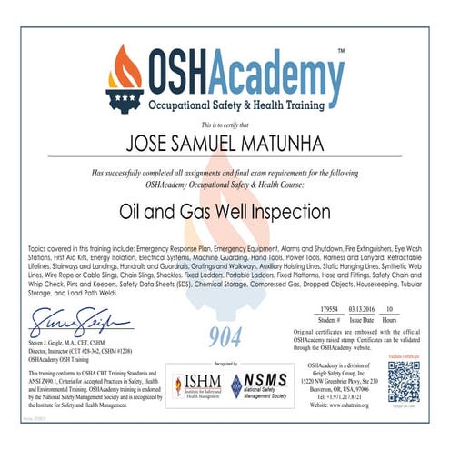Oil and Gas Well Inspection- | PDF