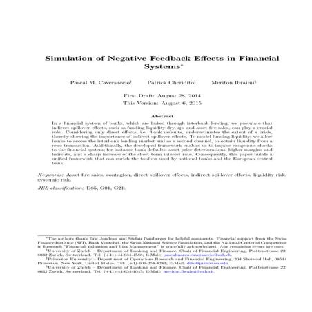 systemic_risk_final_version_ssrn