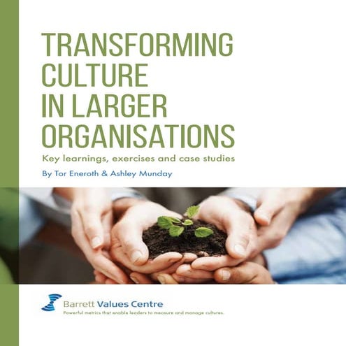 article_transforming_culture_in_larger_organizations
