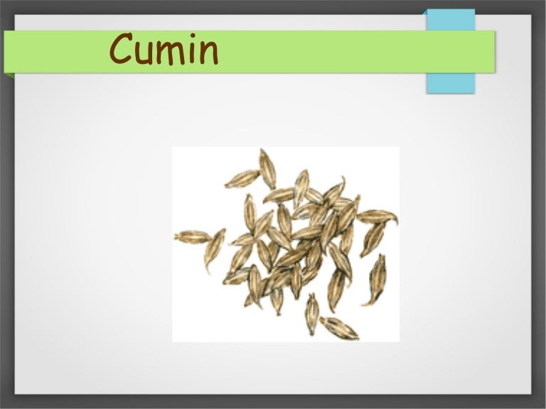 Cumin