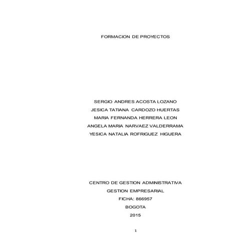 F formacion de proyectos