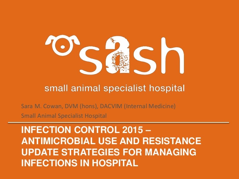 sash animal hospital